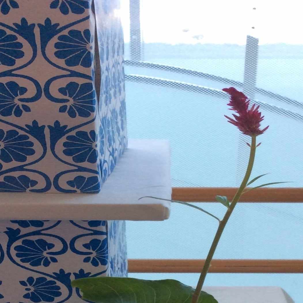 鴨居羊子｜Hekisui