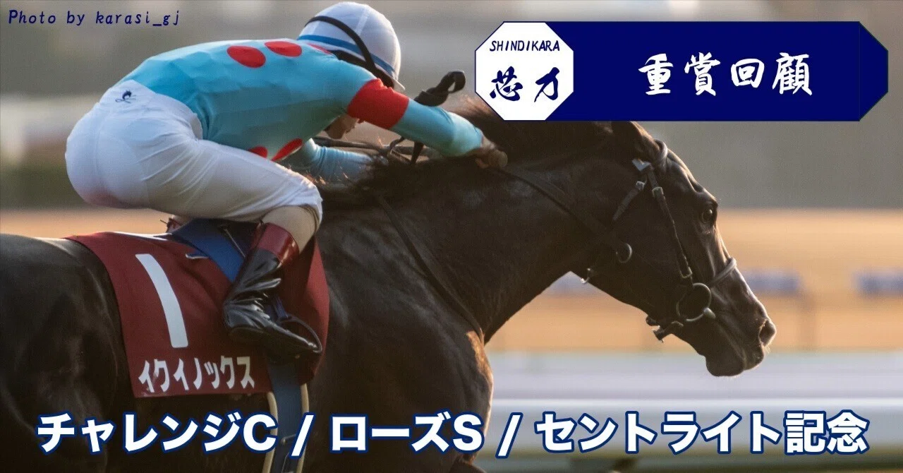 ファインモーション　全て現地馬券　新馬戦含む全17レース 令和のファインモーションとか大げさななんて思ってた老害も土下座の
