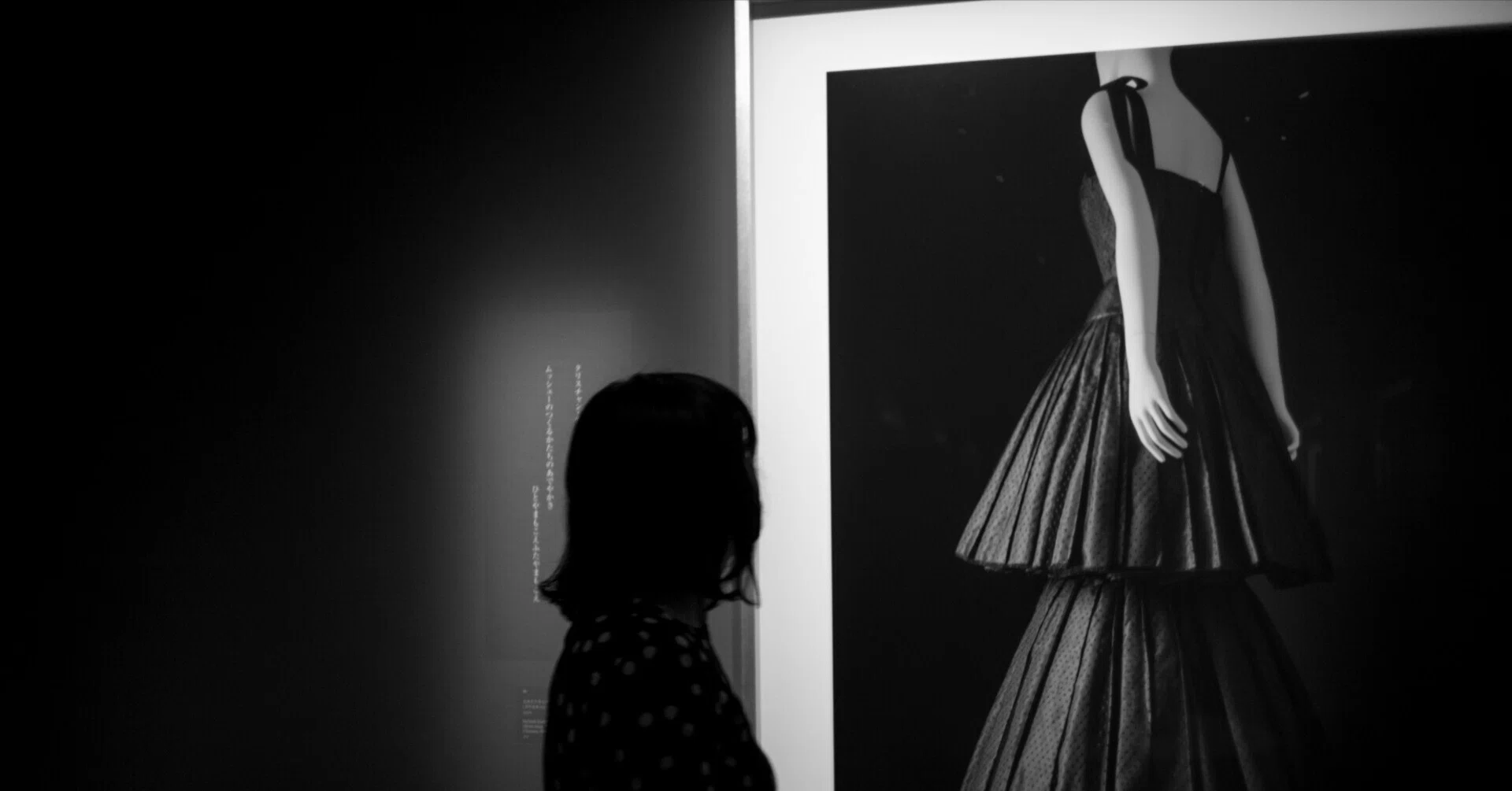 写真の中に、時間は閉じ込められるのか。杉本博司「絶滅写真」を見て