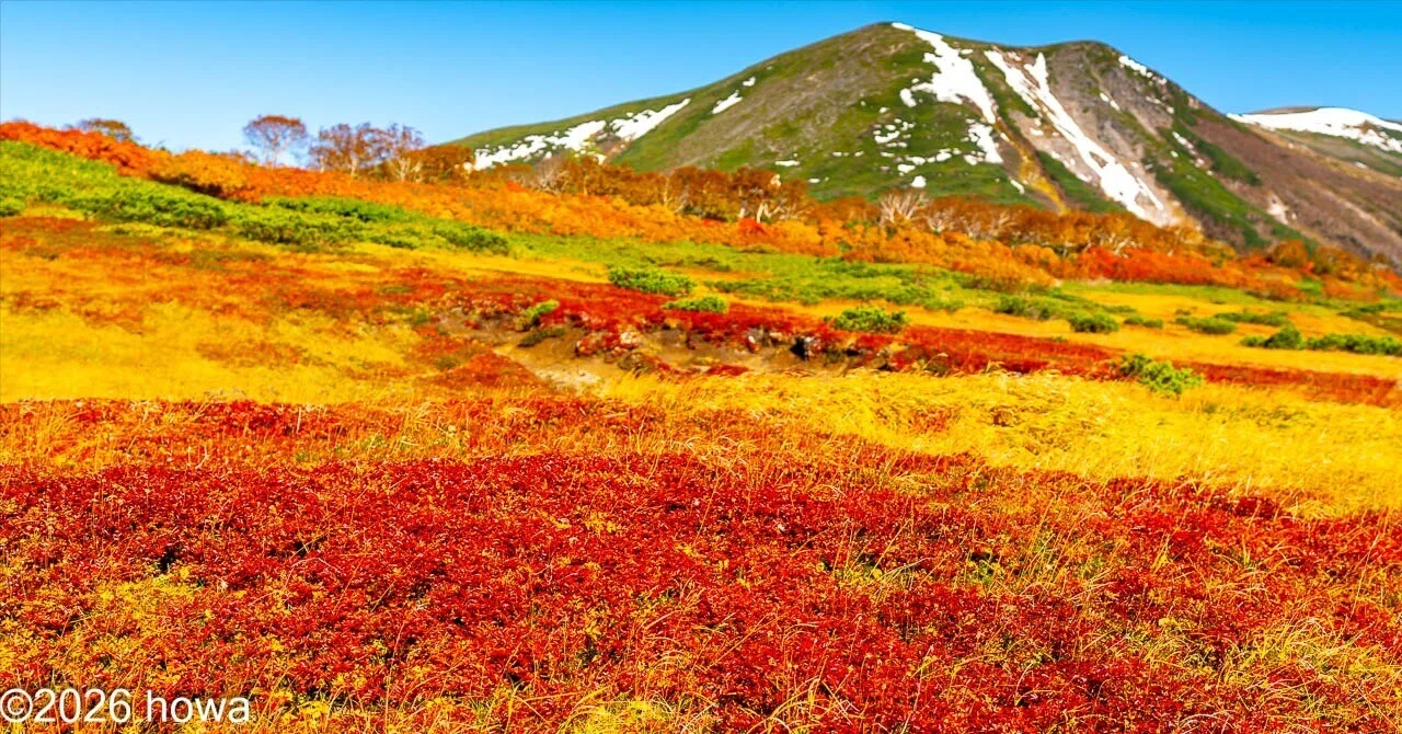 Colors of the First Snowfall: Mount Midori｜ほわ｜フォトグラファー