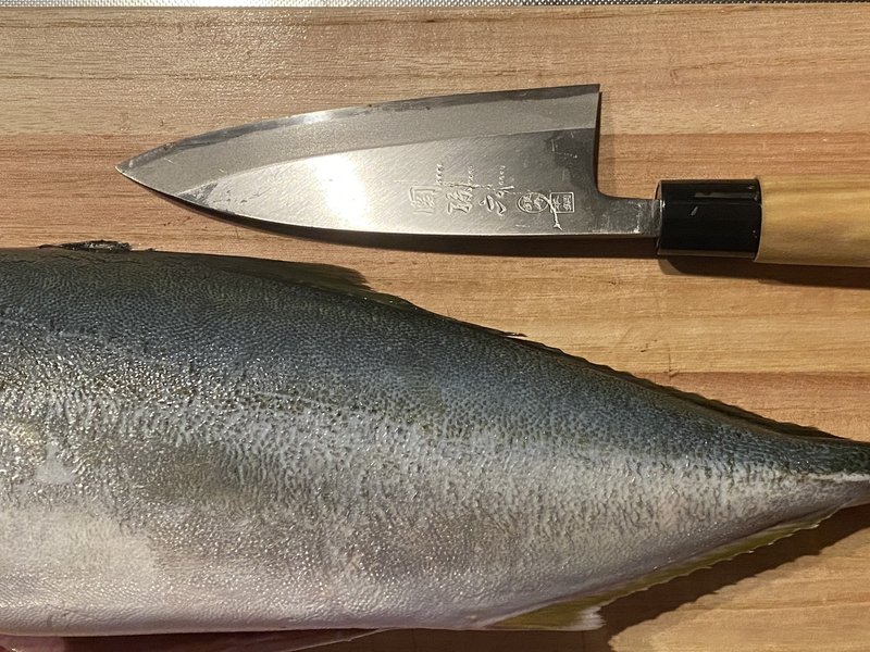 価格は手頃で味は高級なブリの幼魚 フクラギを捌く Noriaki Kawanishi Dmm Note 価格は手頃で味は高級なブリの幼魚 フクラギを捌く Noriaki Kawanishi Dmm Note