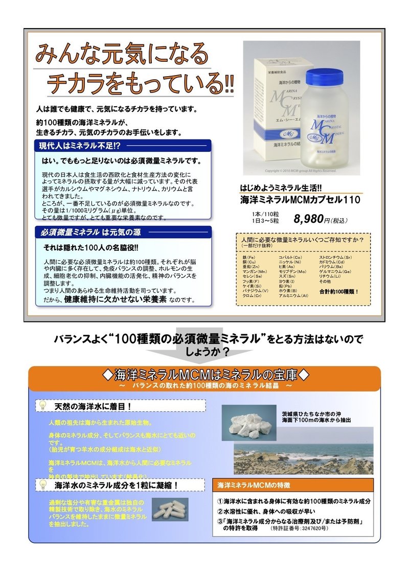 アジ会向けMCMカプセルA4ちらし-申込書082010