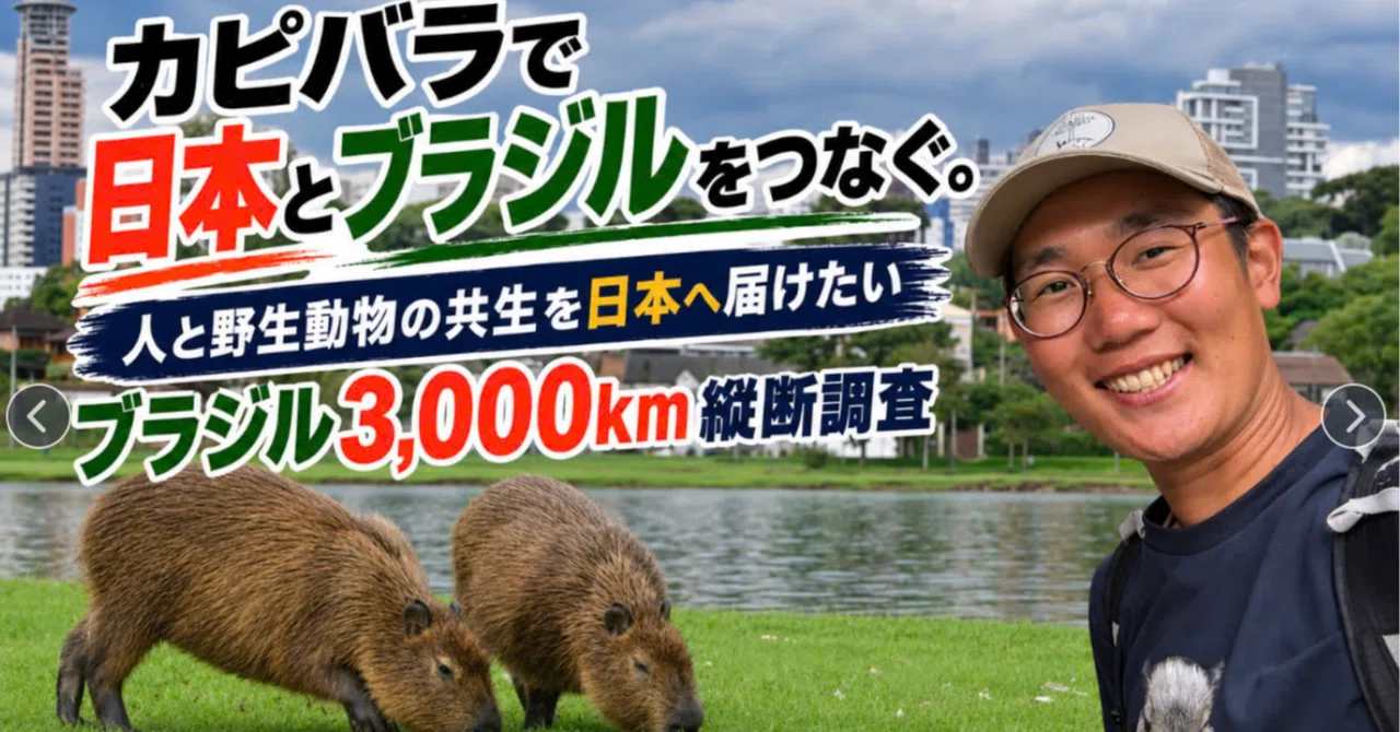 Why I am traveling 3000km across Brazil in pursuit of capybaras