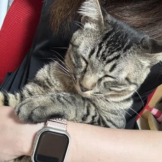 ひよ
