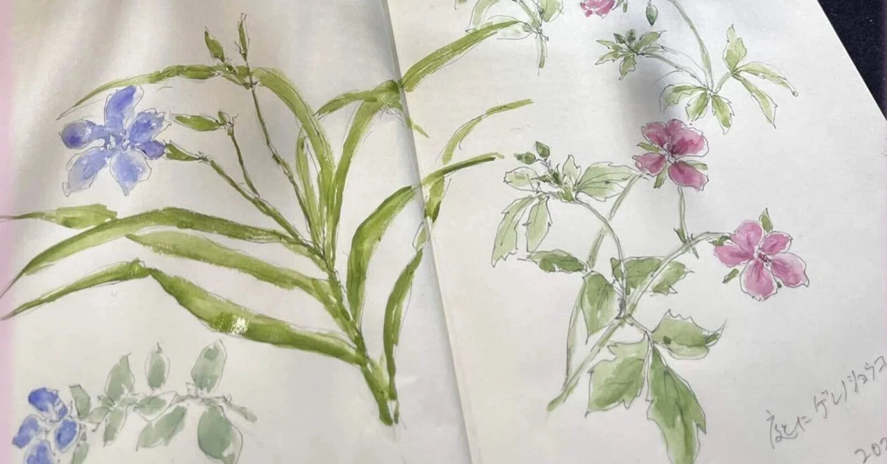 阿見みどりの小さなエッセイ　やっぱり草花描かないと落ち着かない