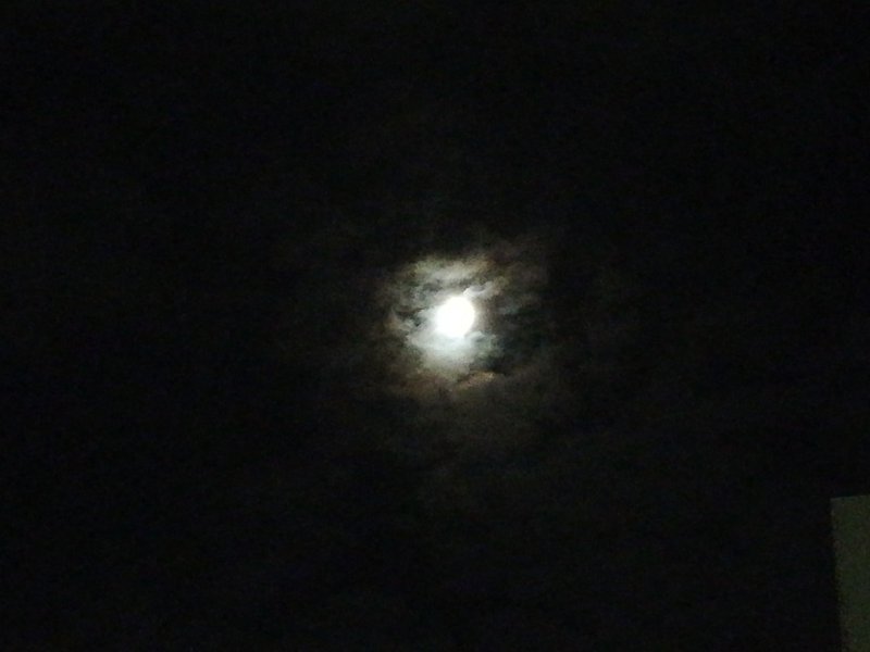 癒しの光と生命力を受け入れるためのヒーリング共通メッセージです プレマ三果 みか 愛で世界に貢献する Note