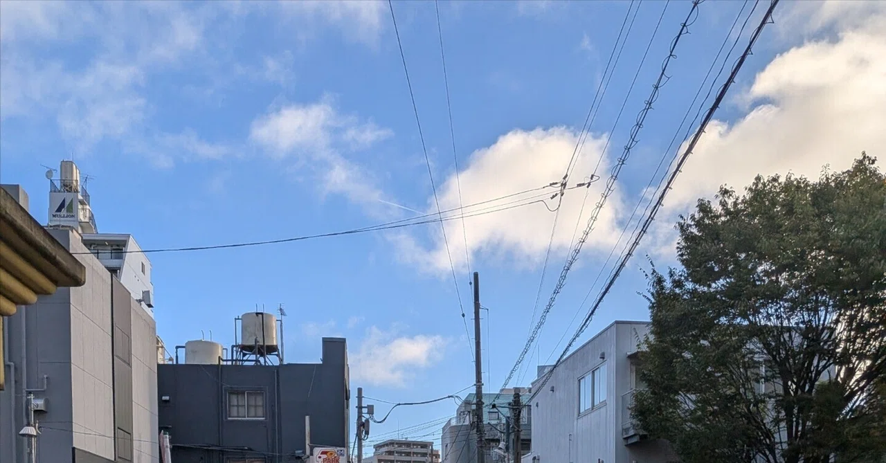 お風呂好きは朝が早い☀｜ゴジラ