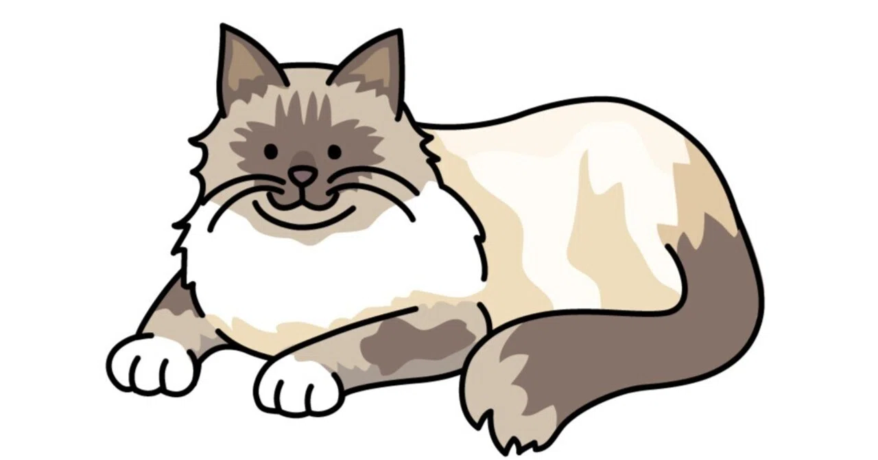 1998年 マン島 ねこ  Birman マン島 1998年 キャット 1/25クラウン金貨（バーマン）｜アンティーク