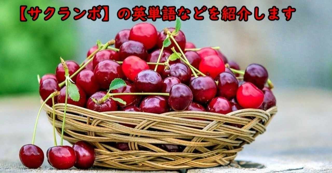 桜桃 の新着タグ記事一覧 Note つくる つながる とどける