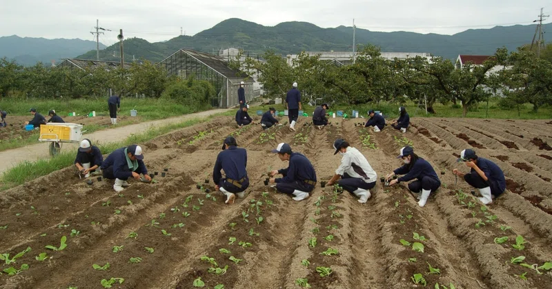 実りの秋に向けて