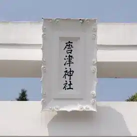 きゅう