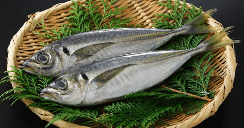 大学生 死んだ魚の目問題 あの人 Note 大学生 死んだ魚の目問題 あの人 Note