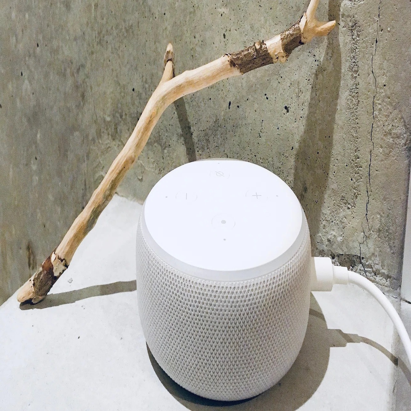 アレクサに蝉の鳴き真似をしてもらったら Pictoria Note