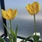 花時間のひととき