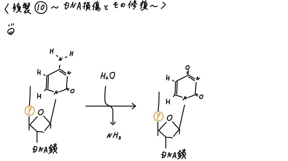 画像12