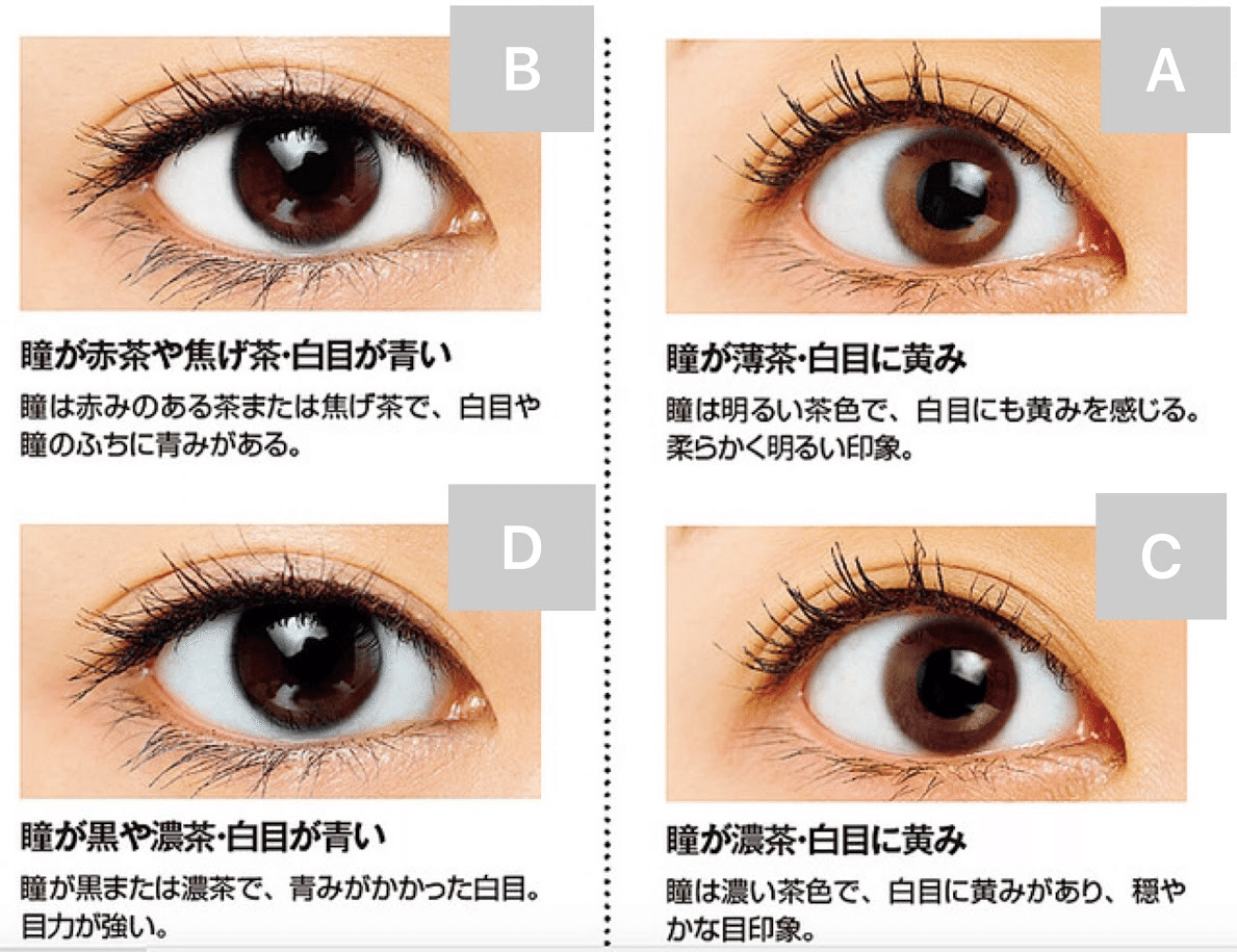 誰でも理解と自己診断ができるパーソナルカラーについて解説 吉﨑洋介 Note