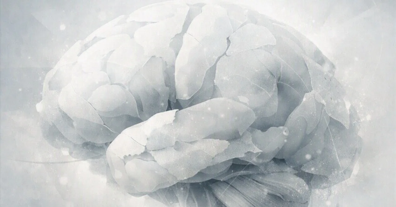 Series: Brain Structure ④｜まちぞう
