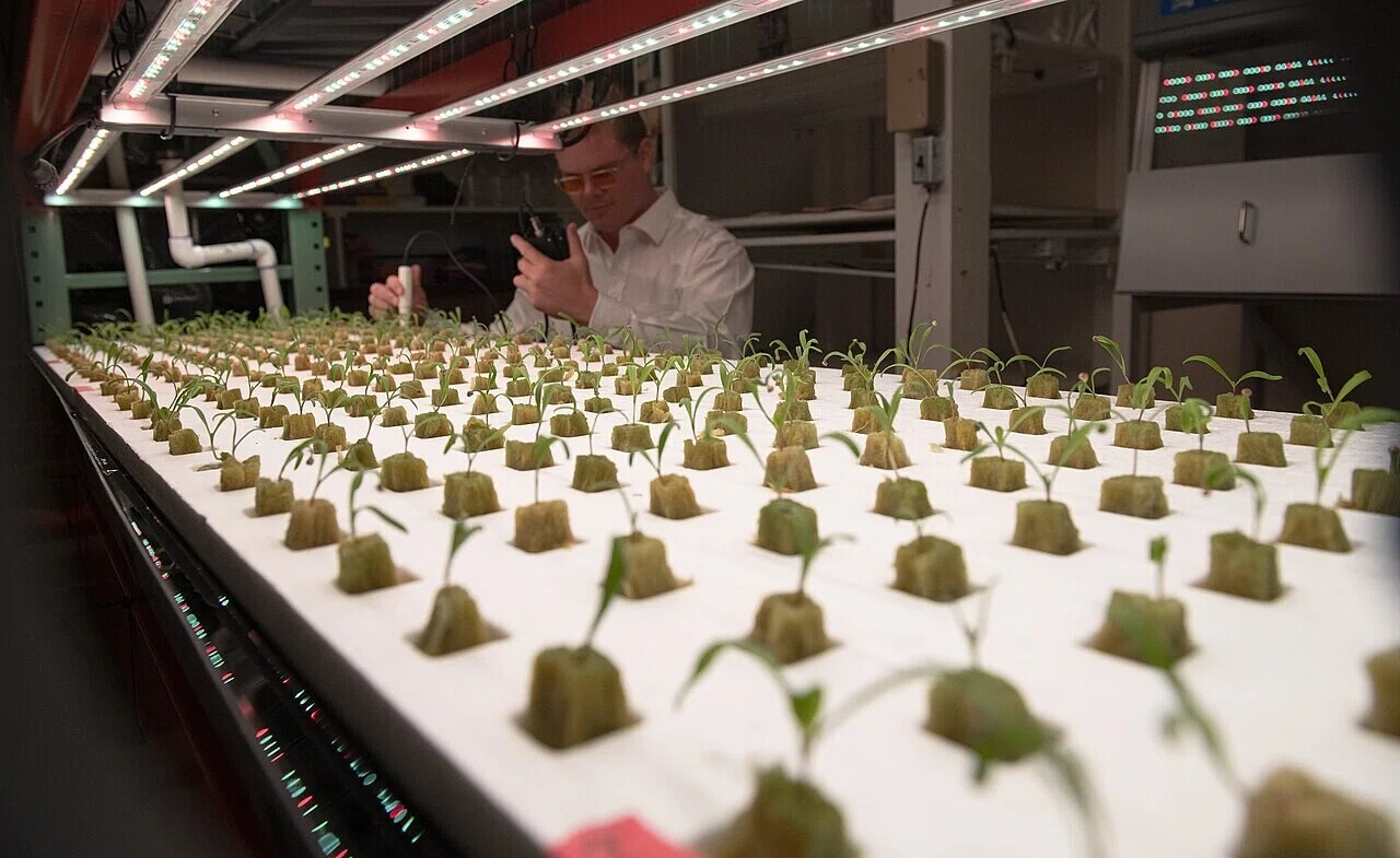 Vertical farm48