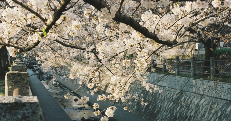 旅の記録をたどる
