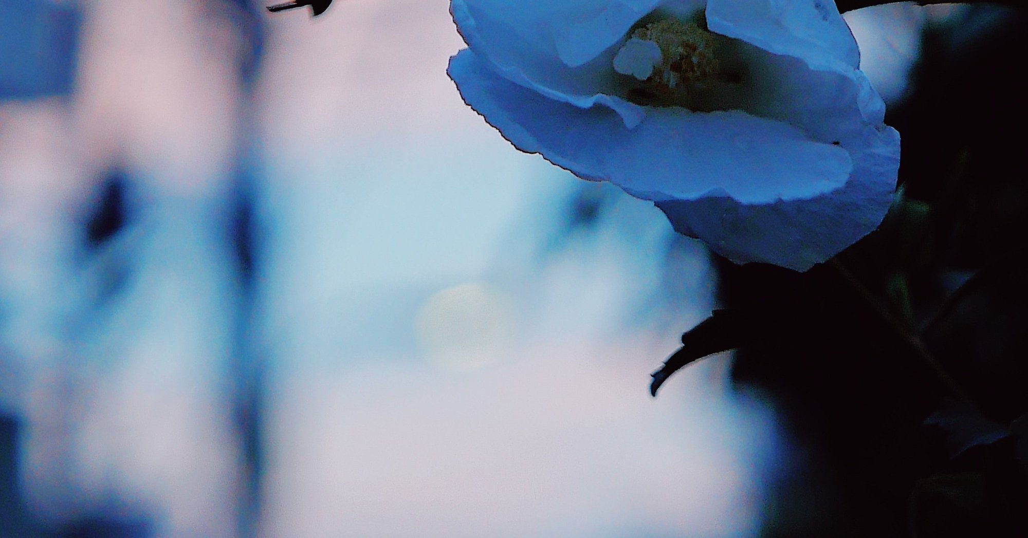 洋楽の歌詞がカッコいいなんて誰が言った やひろ Note 洋楽の歌詞がカッコいいなんて誰が言った やひろ Note