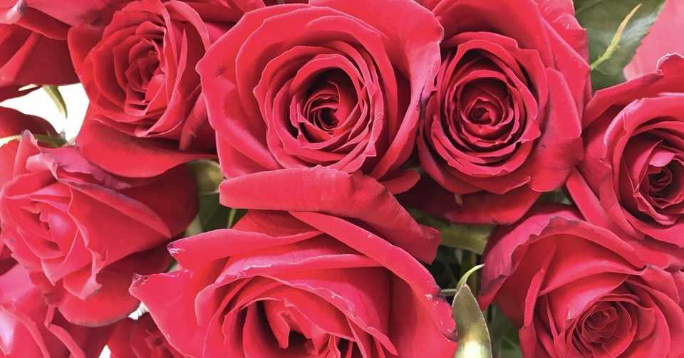 Heart No Yume Flower 札幌駅近くのお花屋さん Heartnoyume Flower Note