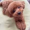 Coco_style