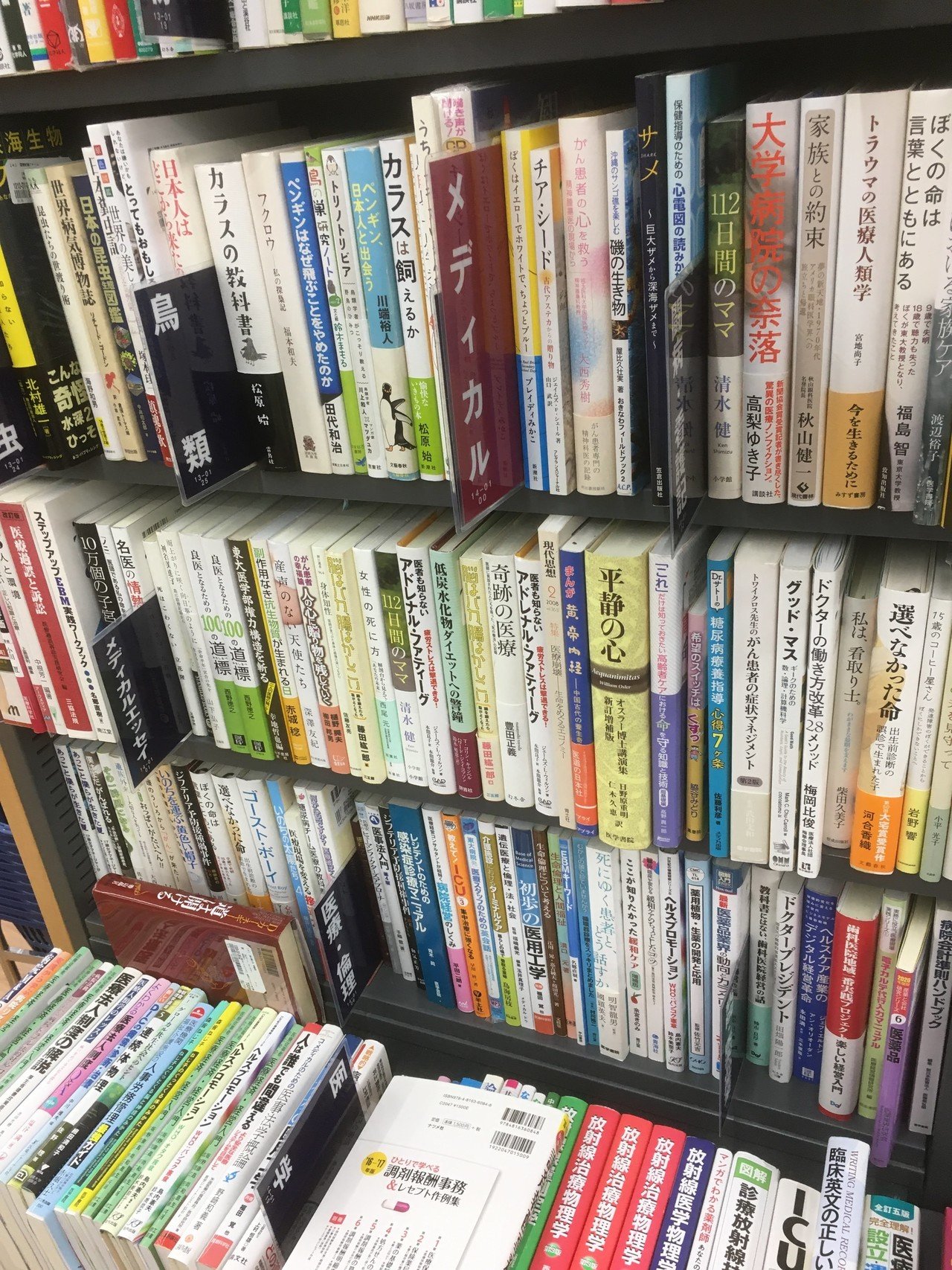 医療者が教える！医療本せどりのコツ5選｜さなべ@医療者せどらー