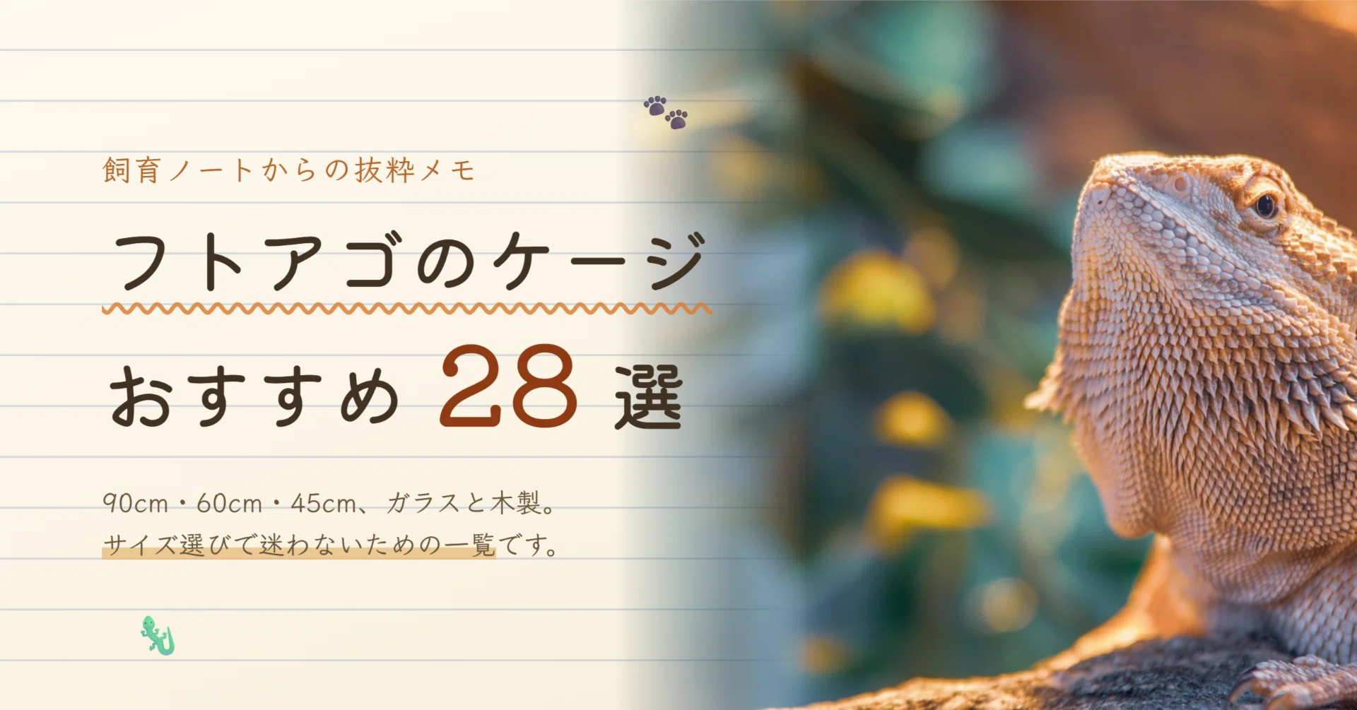 フトアゴヒゲトカゲのケージおすすめ28選｜サイズの選び方とガラス