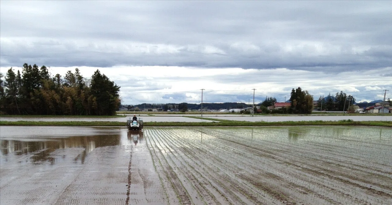 50-year-old eldest son of a rice farmer: How I, a man with no skills or ...