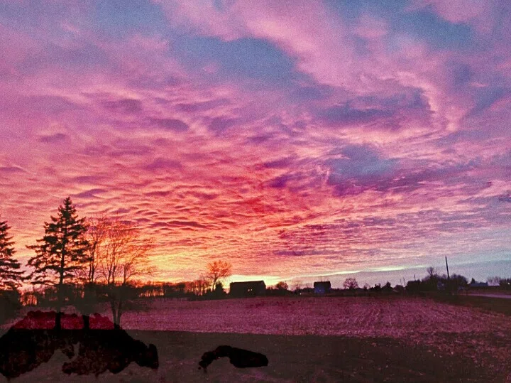 ウィスコンシン州ギレットの田園に広がる夕焼け。革命の行方を待たず、身の回りの食から動き出す個人の姿を重ね合わせたい。