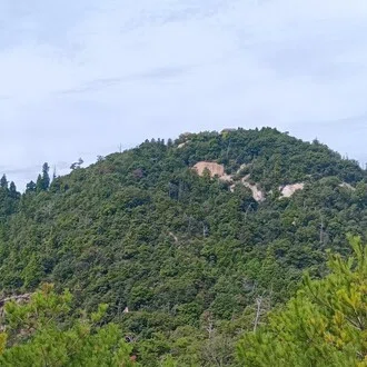 maeri