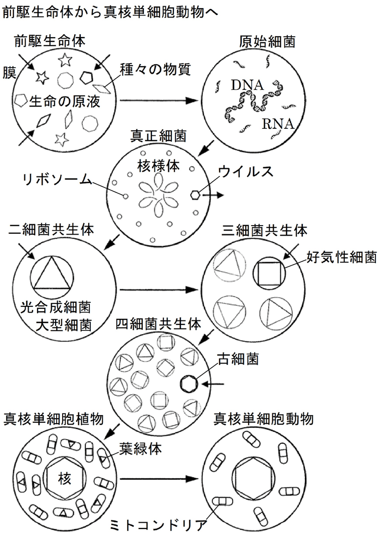 画像80