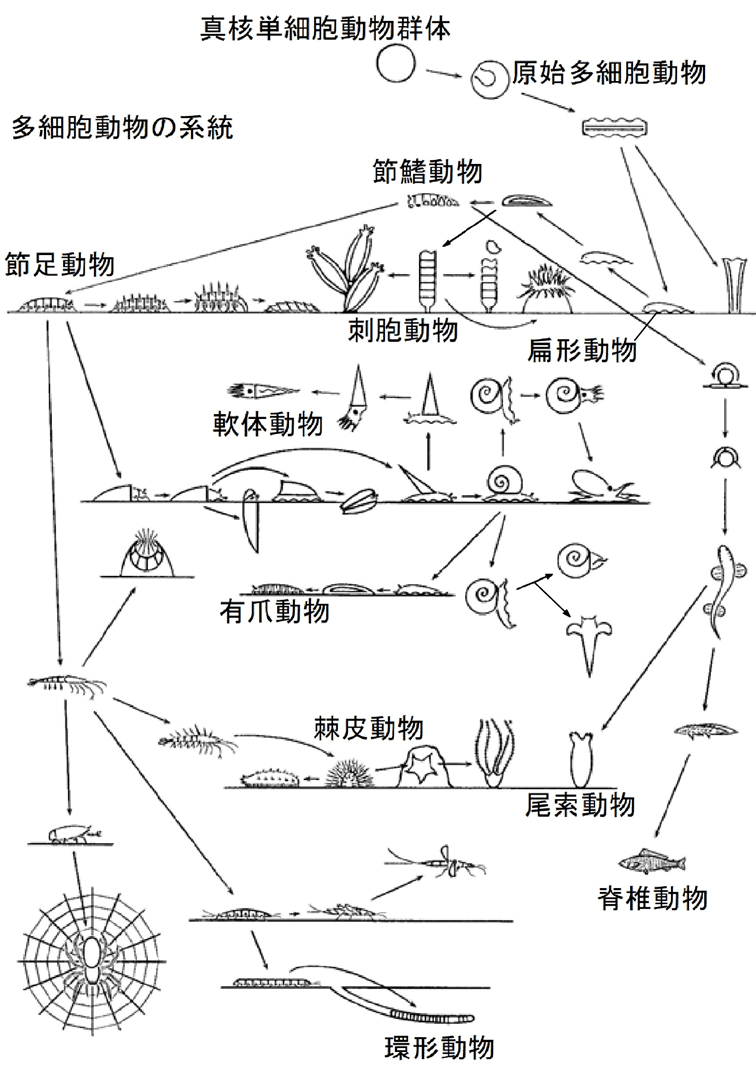 画像81