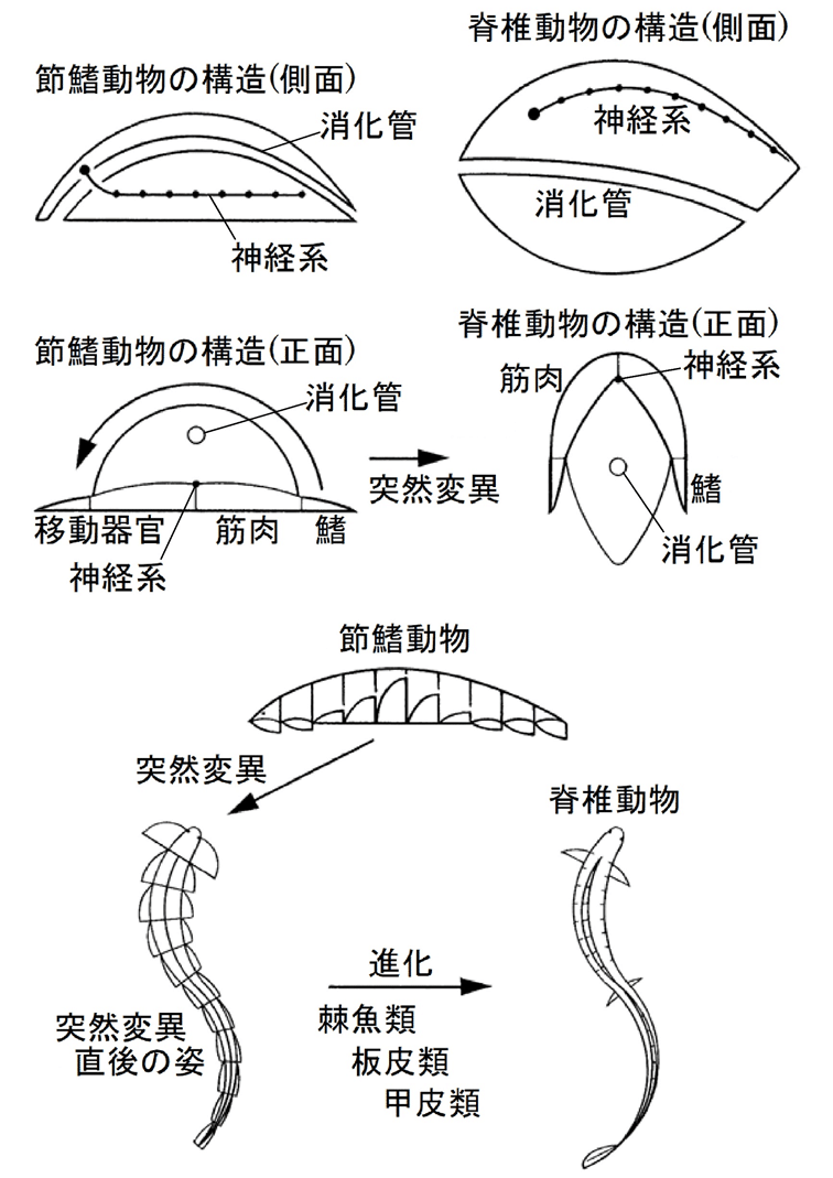 画像82