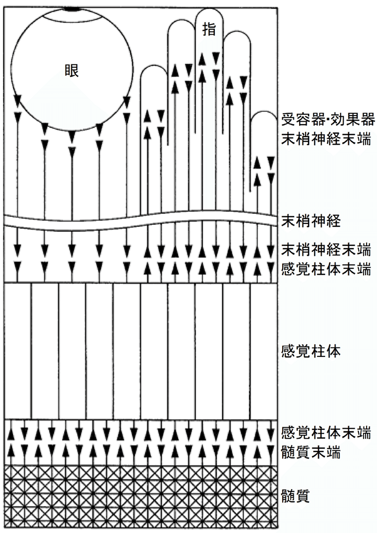 画像89