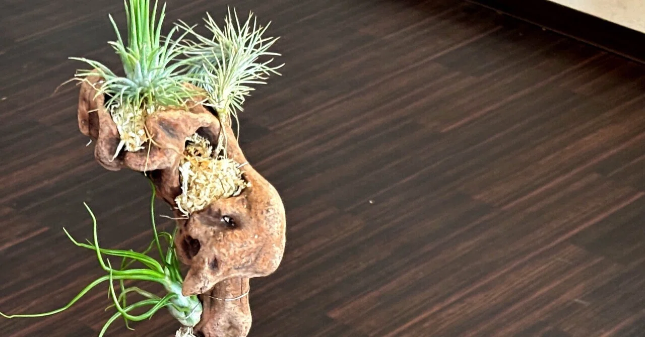流木を植木鉢から生やしたい！【DIY】ディスプレイ用スタンドの自作