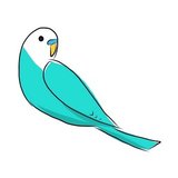 Parakeet English