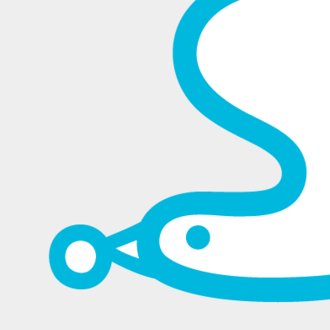 solioの今井紀明