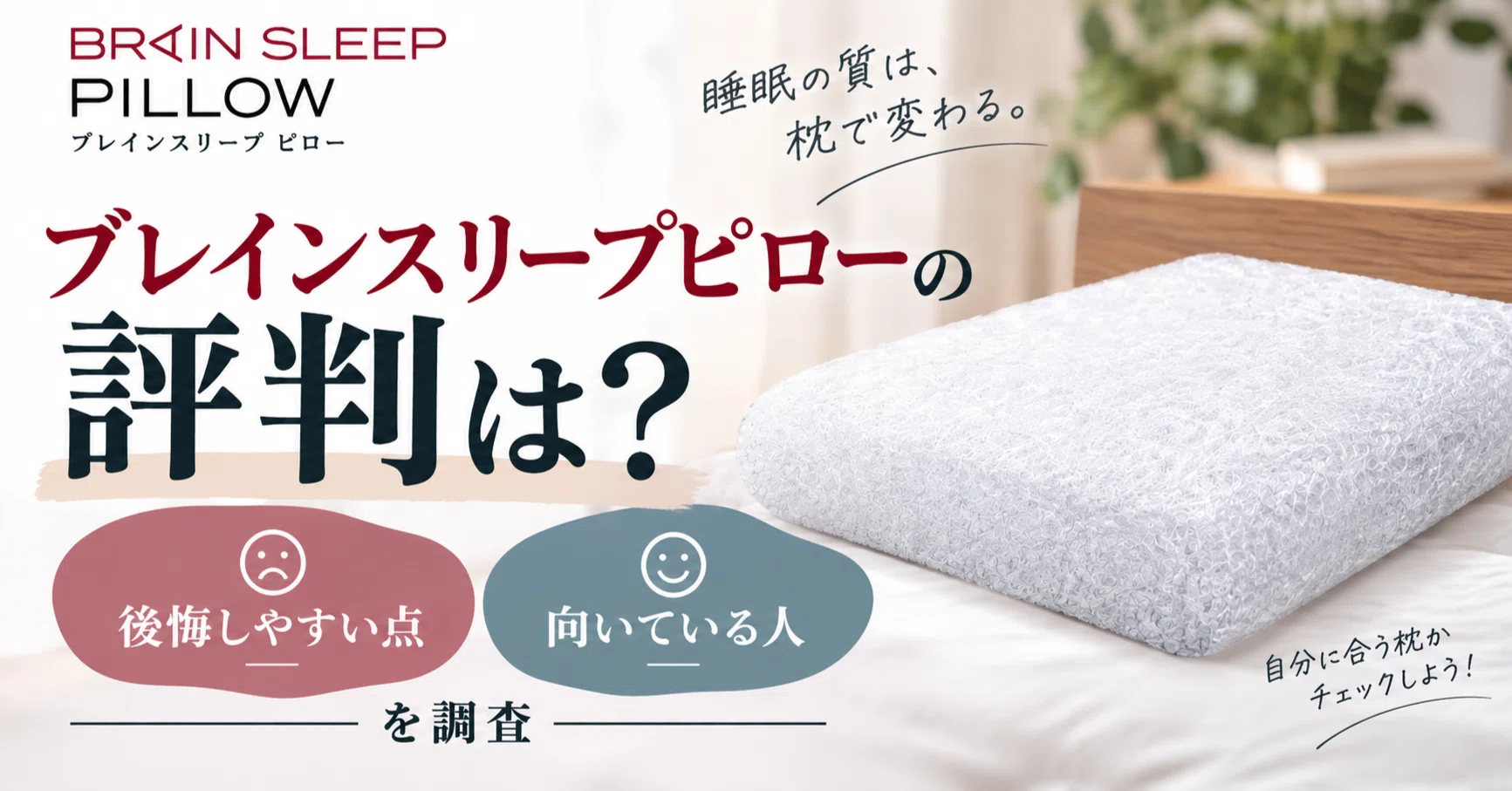 What is the reputation of the Brain Sleep Pillow? Investigating