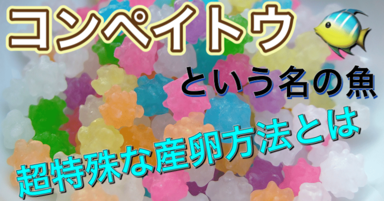コンペイトウという名の魚 釣り 山阿呆の大学生 Note コンペイトウという名の魚 釣り 山阿呆の大学生 Note