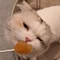 ゆうき
