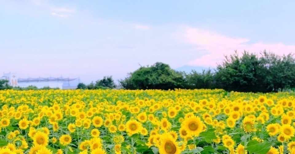 人に妬まれる彼は 妬み を知らない あさぎはな Note