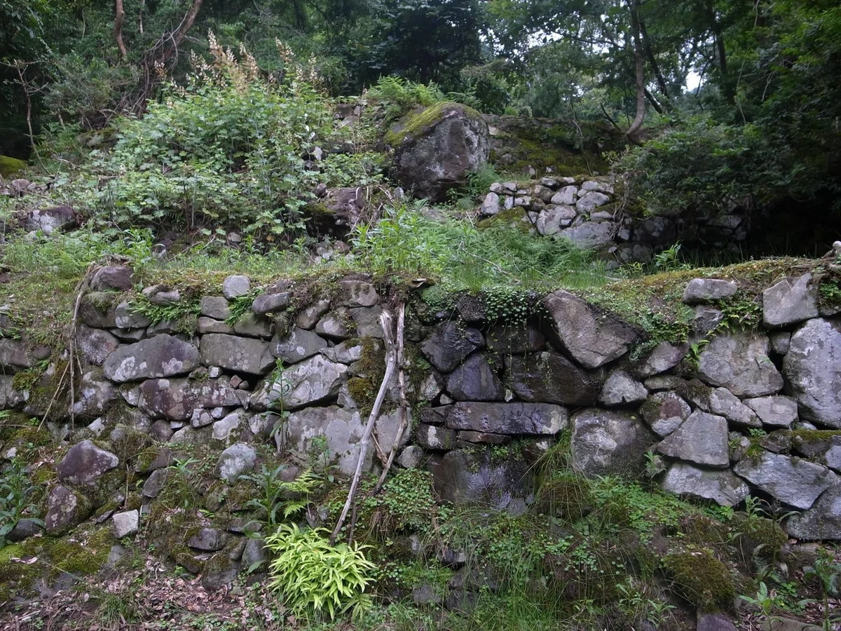 画像7