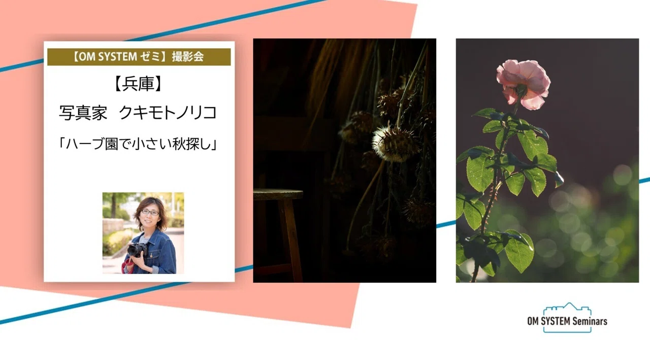 [Hyogo] November 3, 2026 (Tue/Holiday) - Photographer Noriko Kukimoto ...