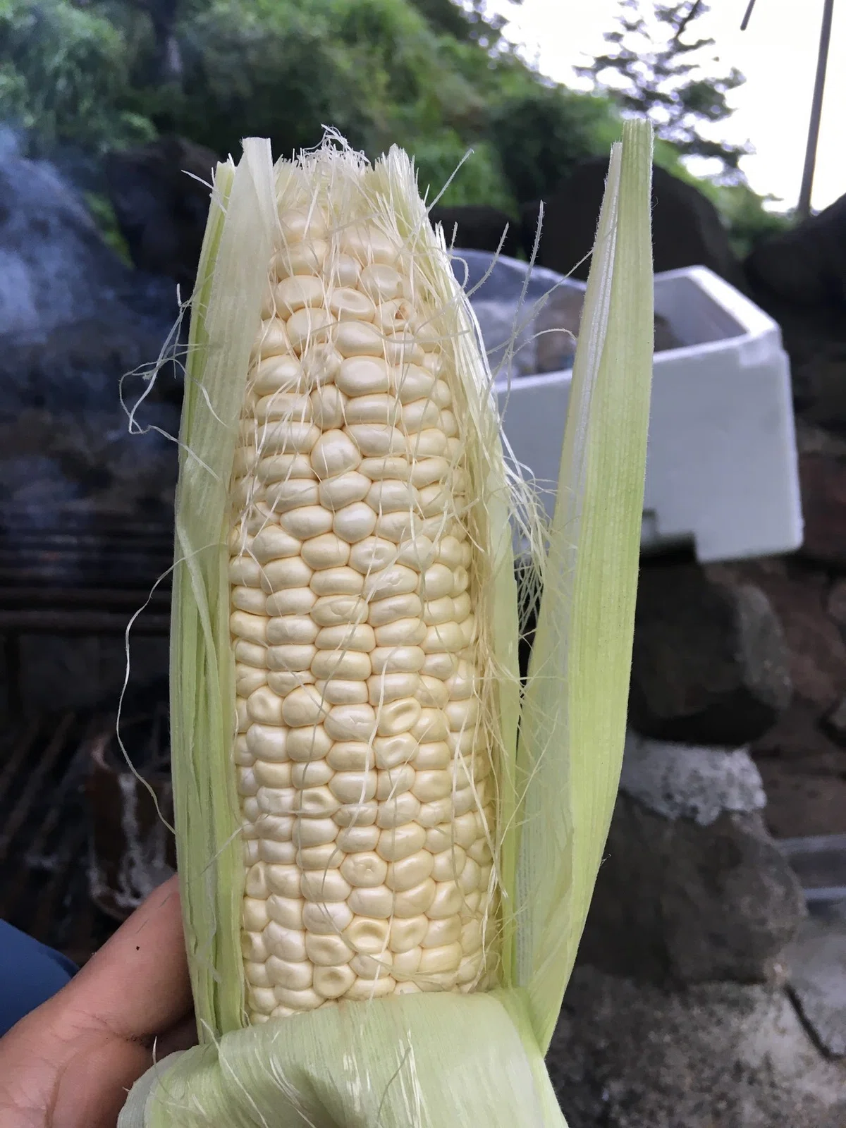 画像14