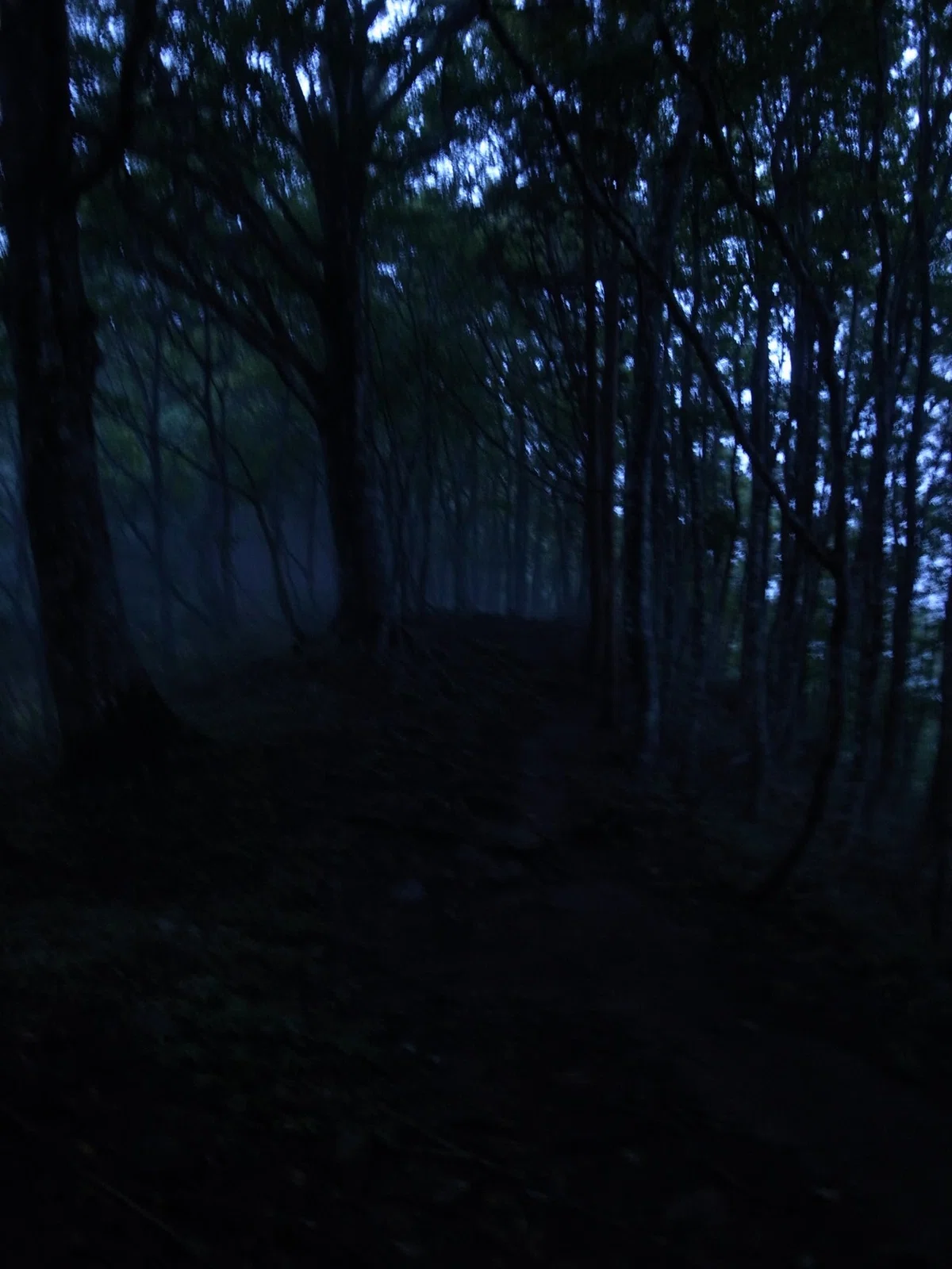 画像19