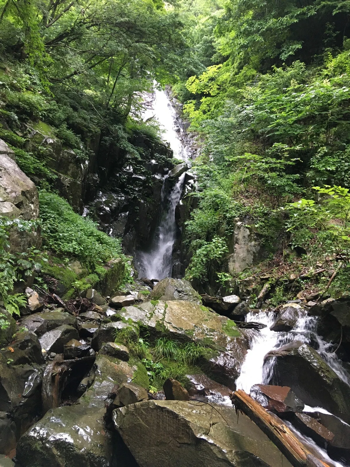 画像23