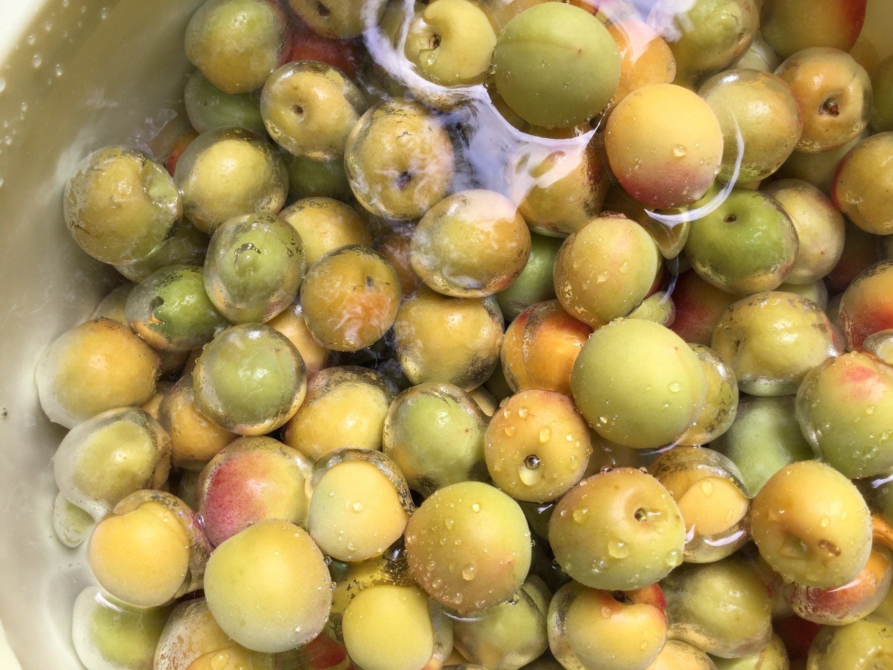 梅仕事 Yuki 農ときどき旅 Note 梅仕事 Yuki 農ときどき旅 Note