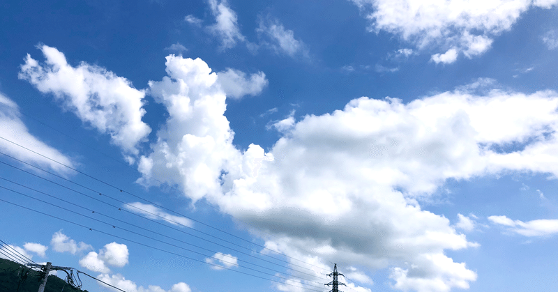 今日は天気がよかったです。