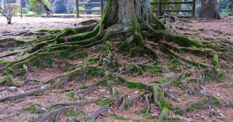 宗教ってなに 怖い やばい どうしてあるの 日本にはない ふわまる 違和感ランド Note